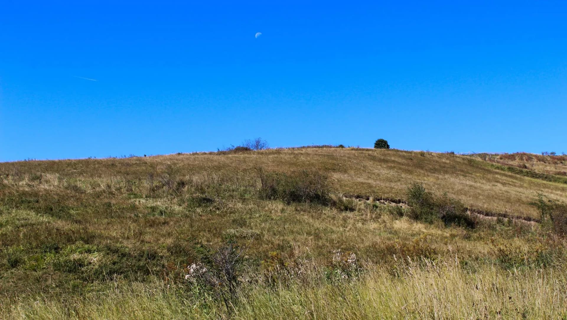 Dry grass on a meadow with the sky in the background. There is a moon in the sky in half a day. Taken on the way to the mountain Bjelašnica.