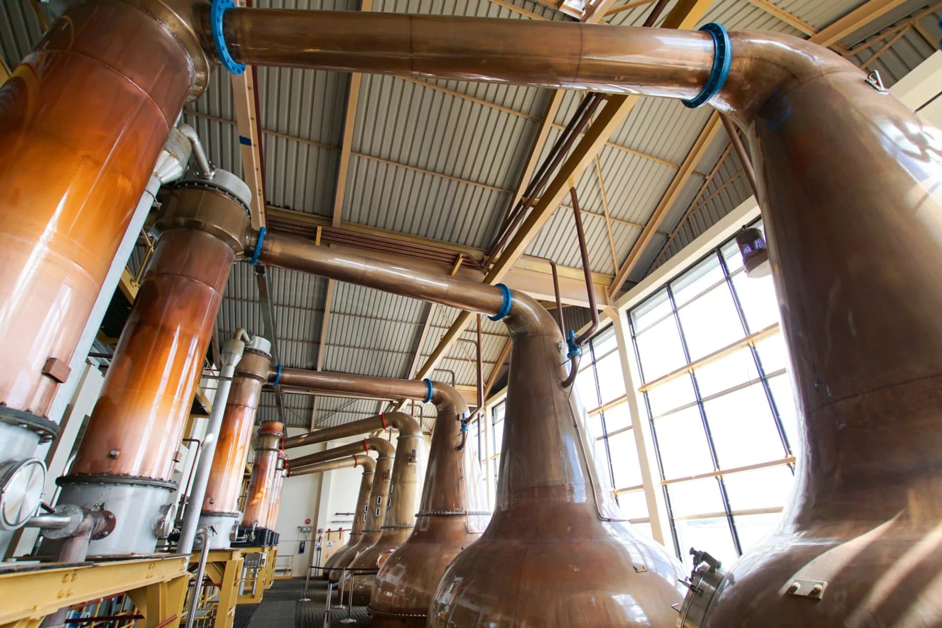From grain to glass: inside a Scottish distillery