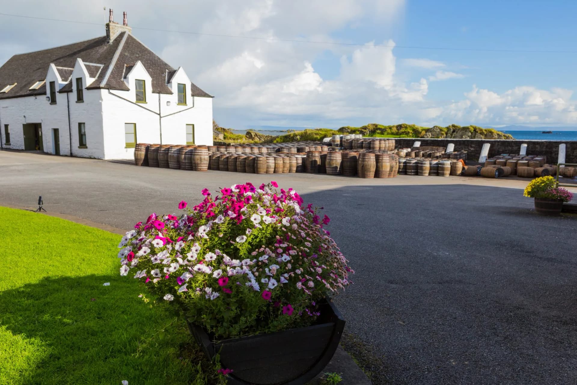Rolling hills and mysterious fog define Scotland