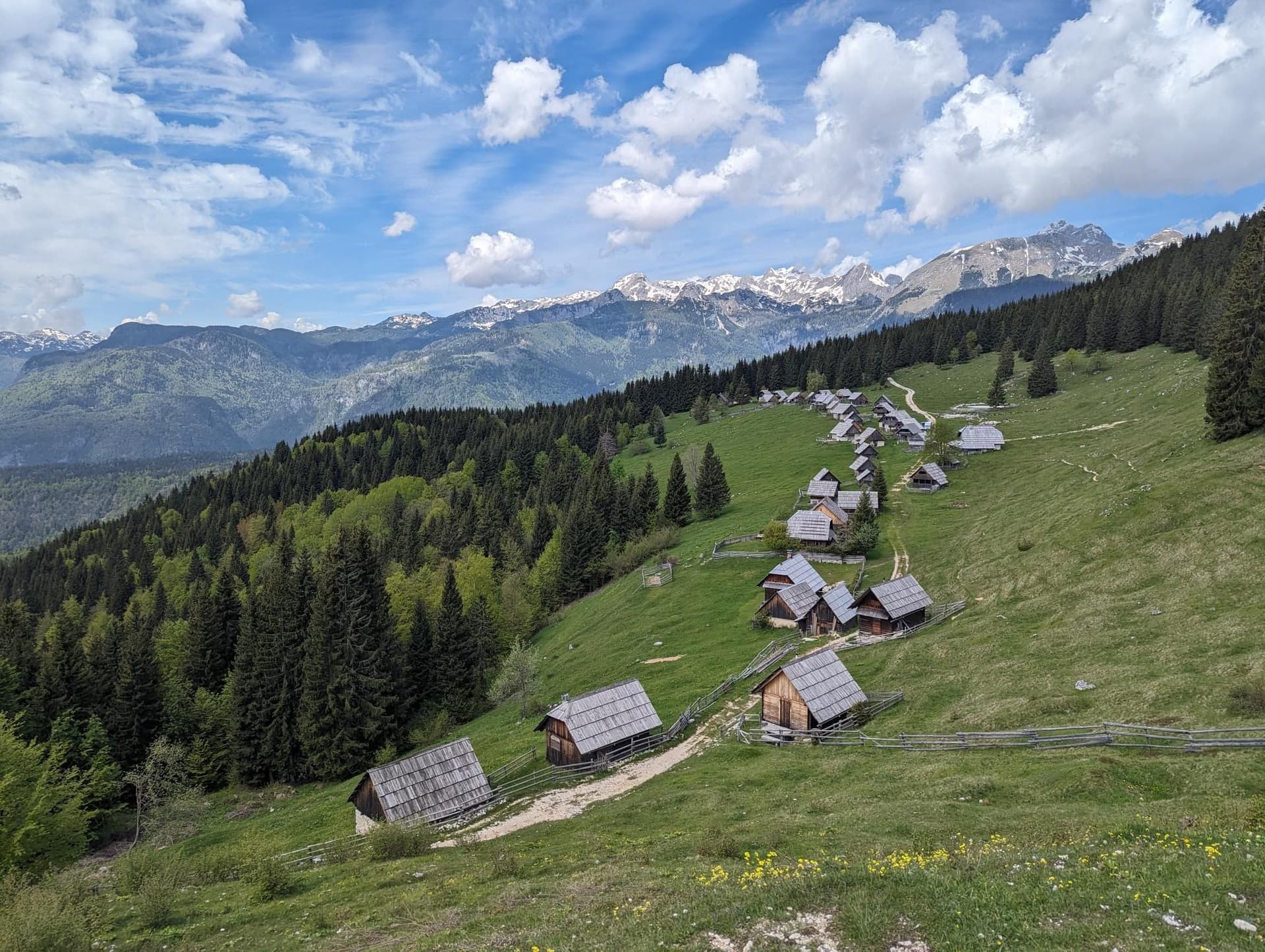 Wooden huts on a grassy alpine slope in Pokljuka, Slovenia, with a forest and snow-capped mountains in the background.