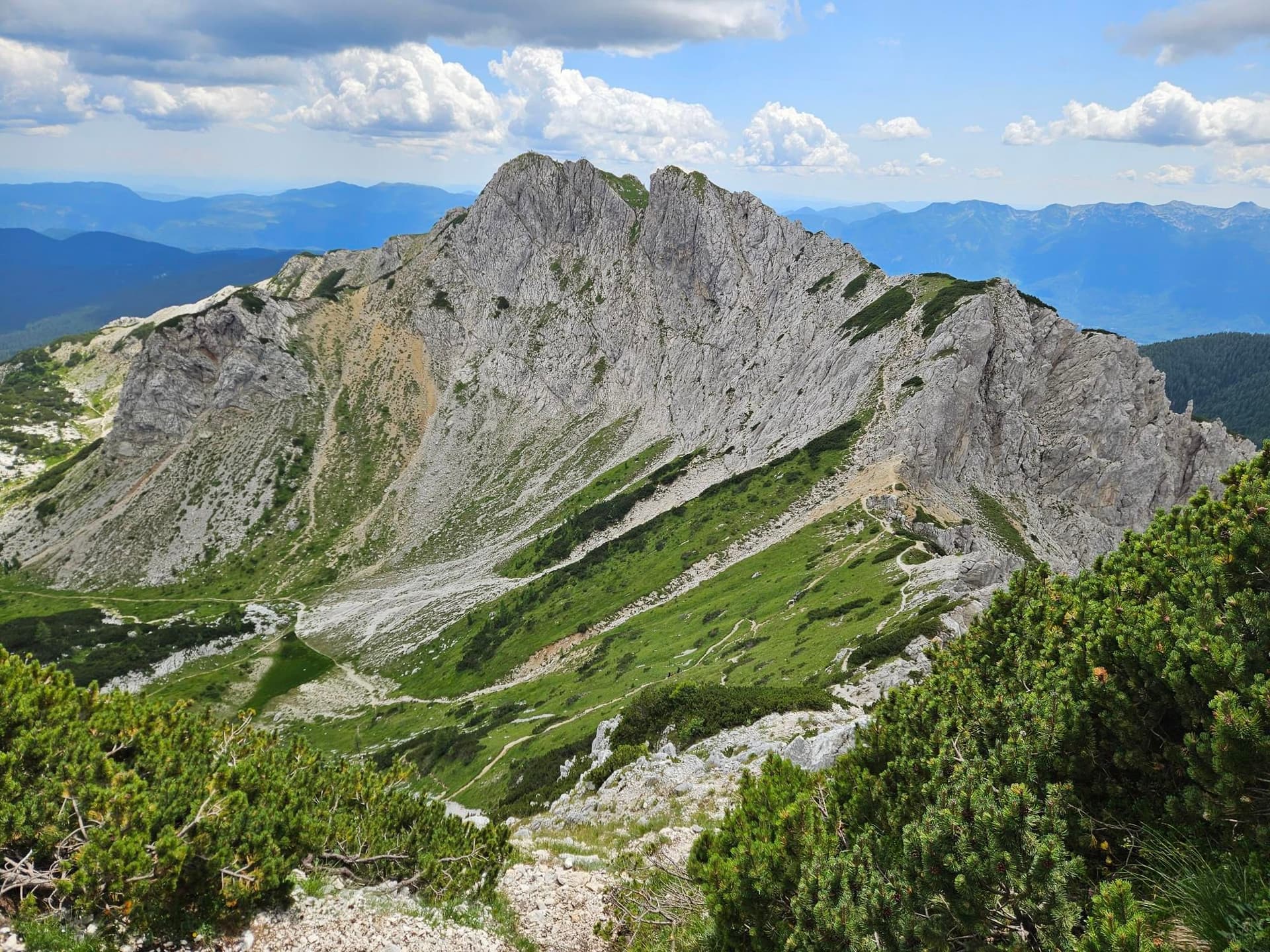 Rocky mountain peak with hiking trails and green slopes in the Pokljuka region of the Julian Alps.