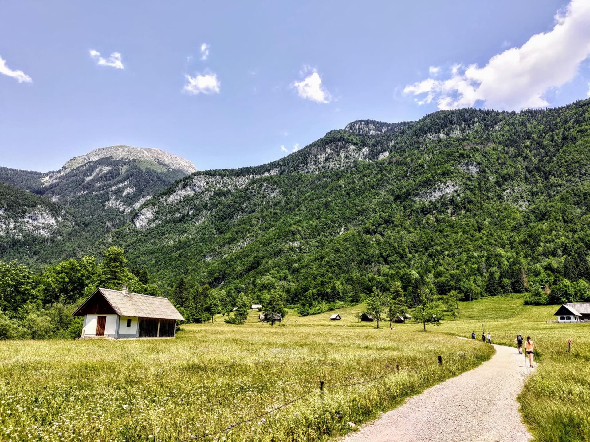 People hiking on a gravel path through a grassy meadow with small wooden cabins and forested mountains in Pokljuka.