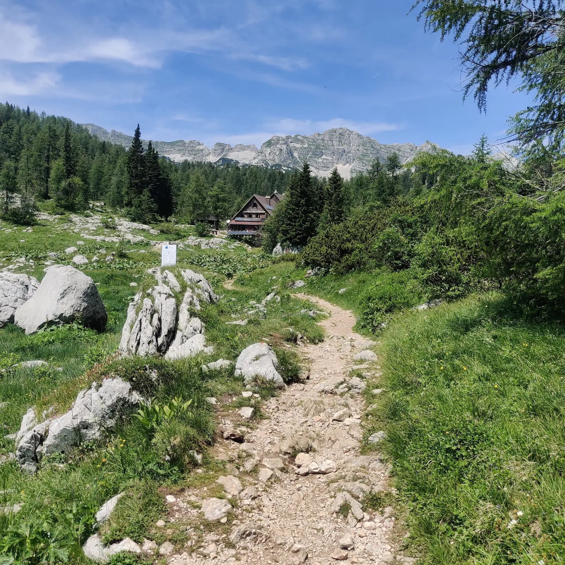 Hiking trail leading to a mountain hut in a rocky alpine landscape with pine trees and limestone peaks.