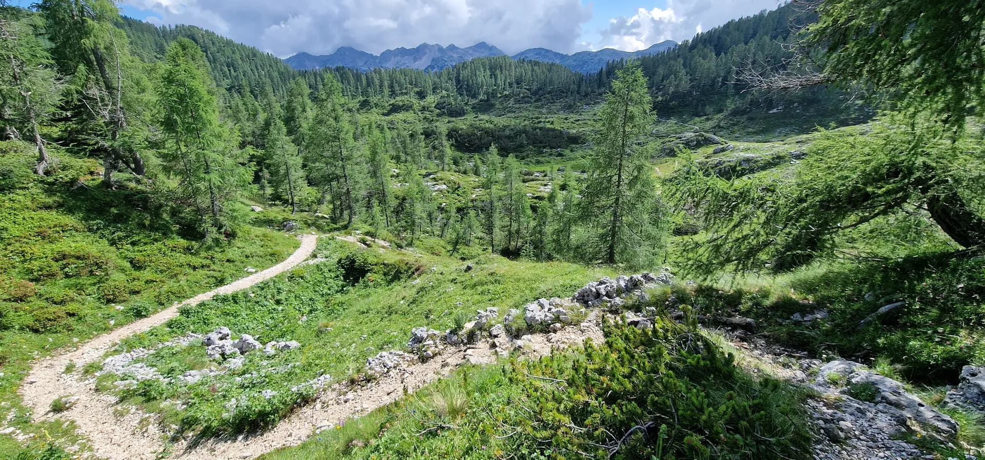 Hiking trail winding through a green alpine valley with pine trees and distant mountain peaks.