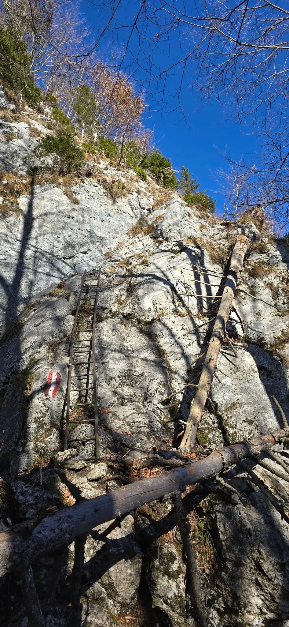 Metal ladder fixed to a steep rocky mountain cliff with a red and white trail marker.