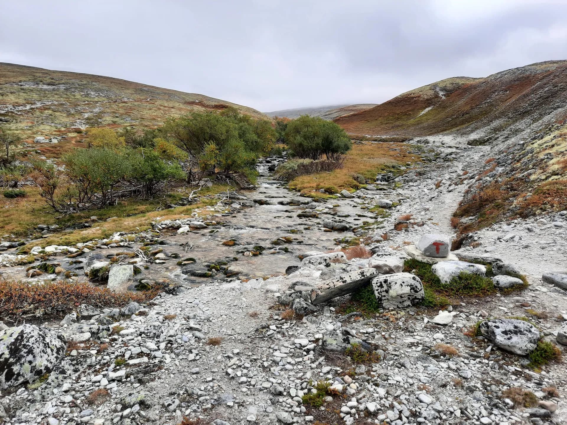 Small stream flowing through a rocky mountain landscape with a red trail marker in Rondane, Norway.
