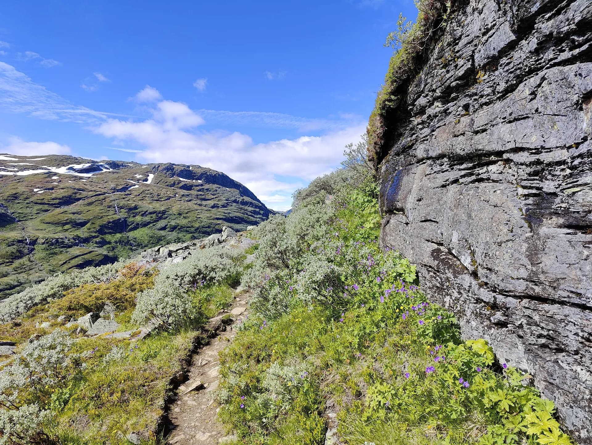 Hiking trail along a rocky cliffside in Aurlandsdalen, Norway, with mountain peaks and wildflowers.