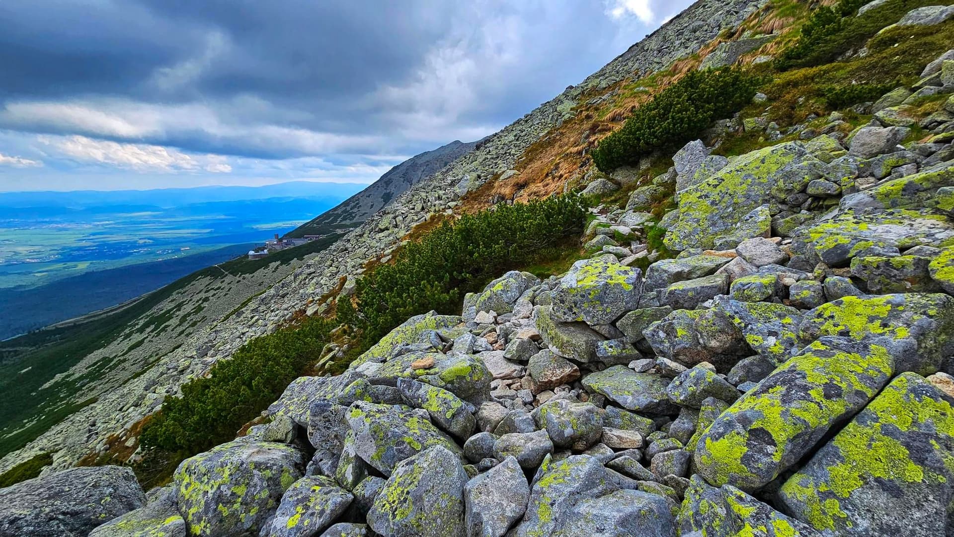 Rocky mountain slope with lichen-covered boulders and green shrubs in the High Tatras.