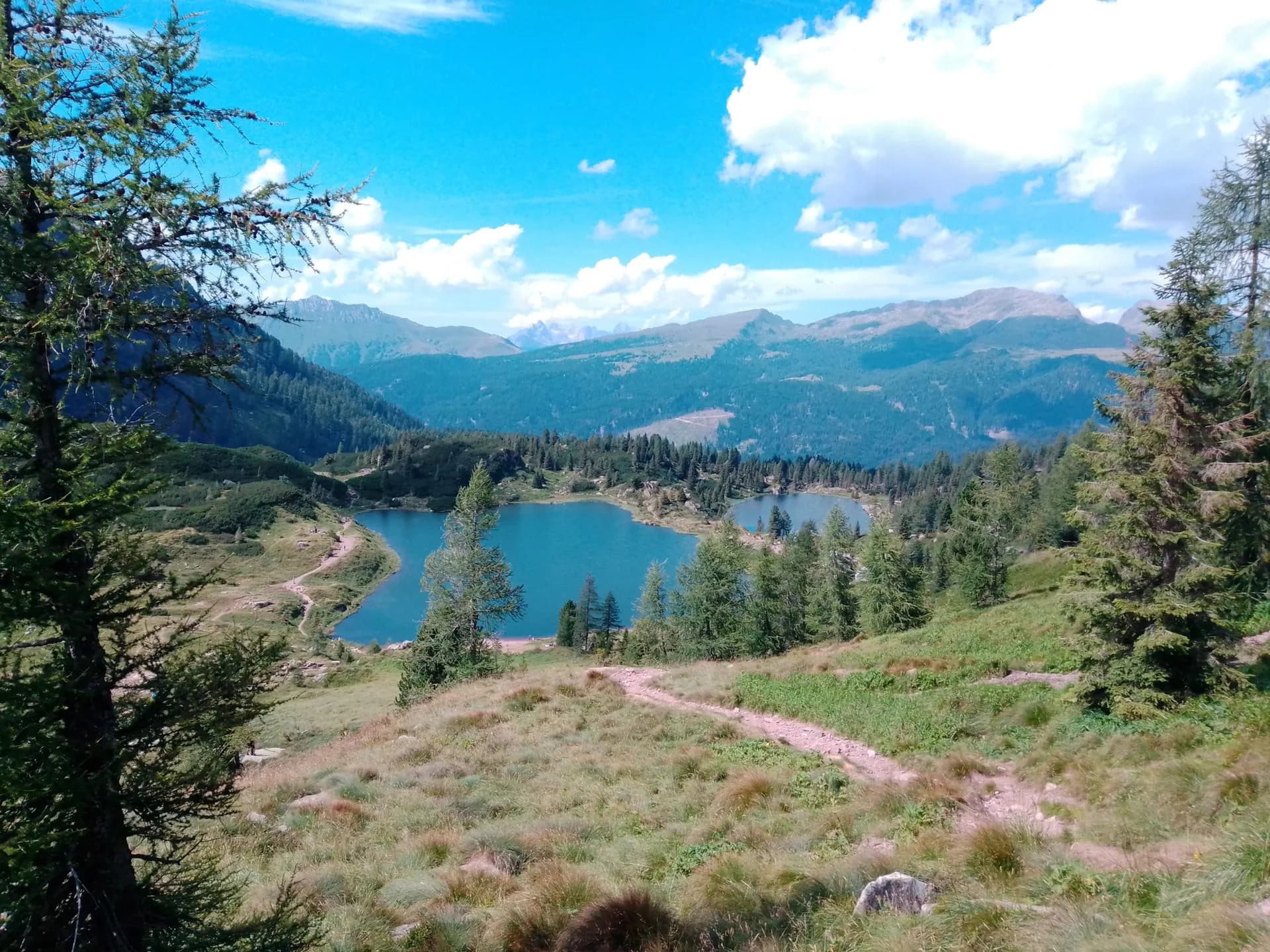 Alpine lakes surrounded by pine forests and mountain peaks in the Pale di San Martino range.