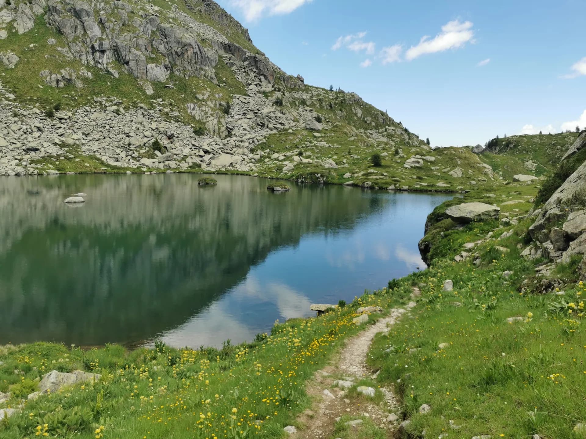 Alpine lake in Adamello-Brenta Nature Park with rocky mountain slopes, green meadows, and yellow wildflowers.