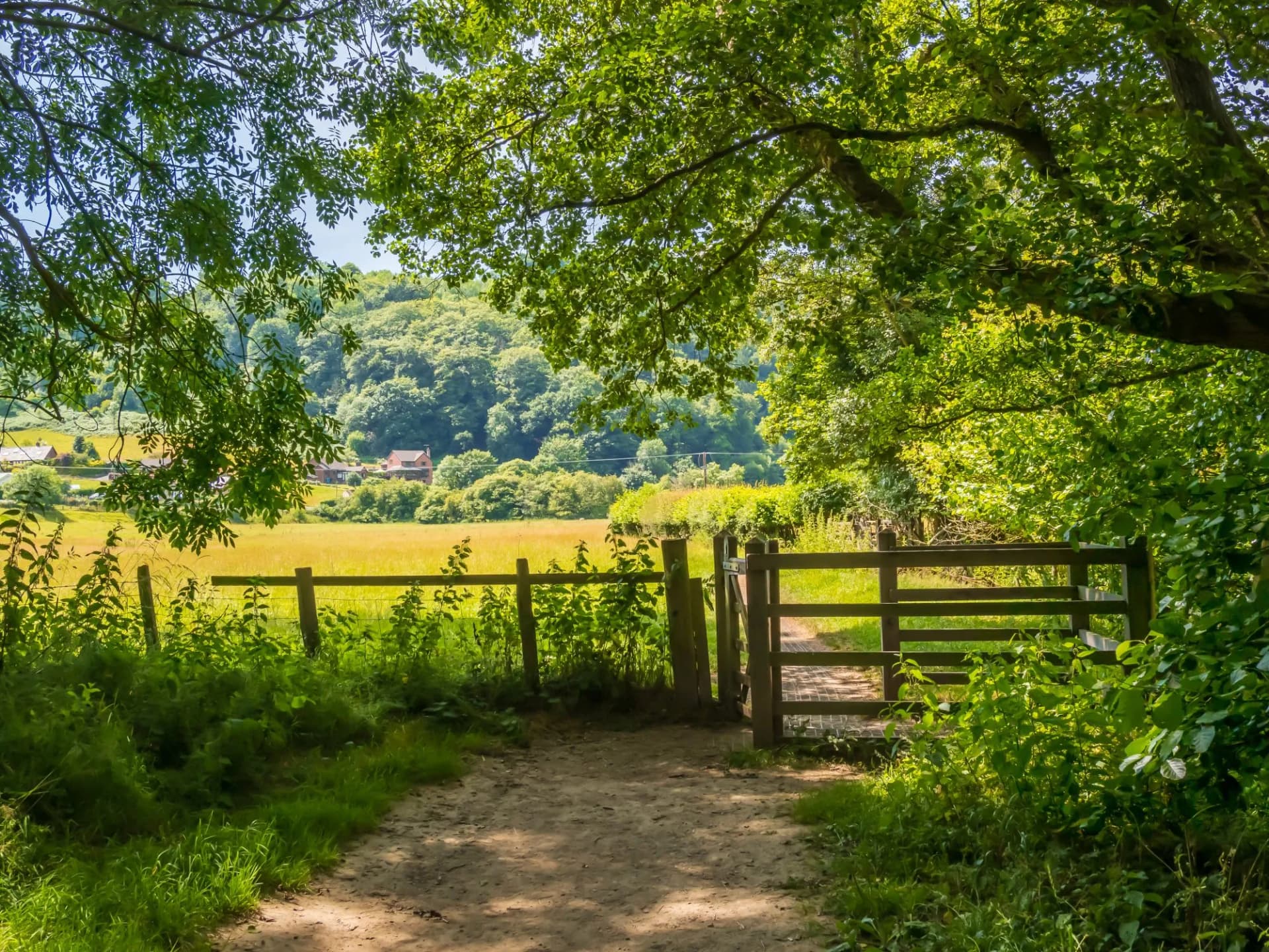 Rural Scene with Gate Knighton