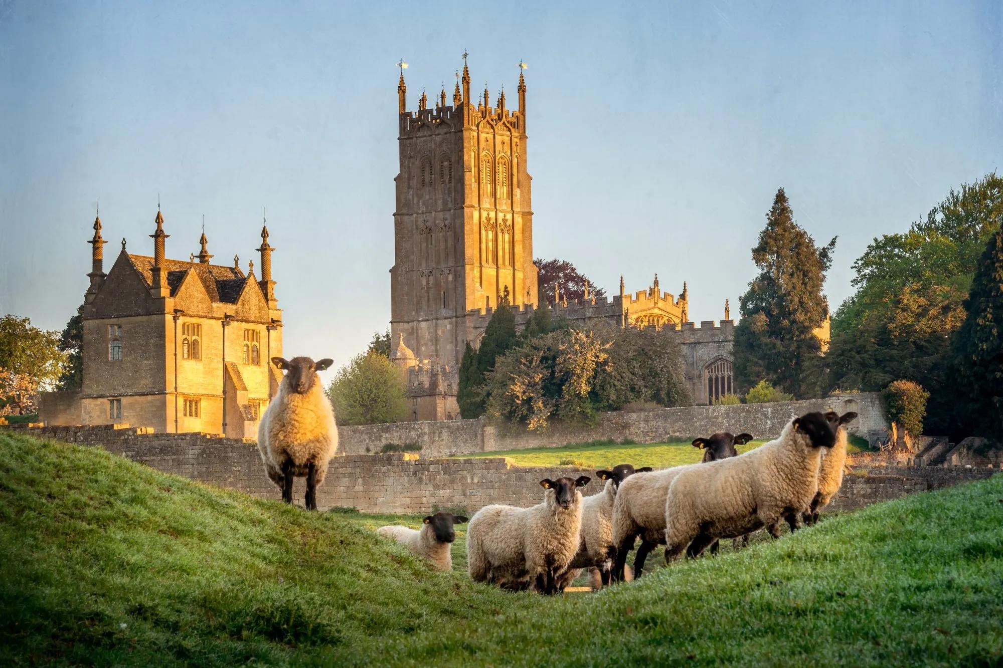 Cotswolds Highlights