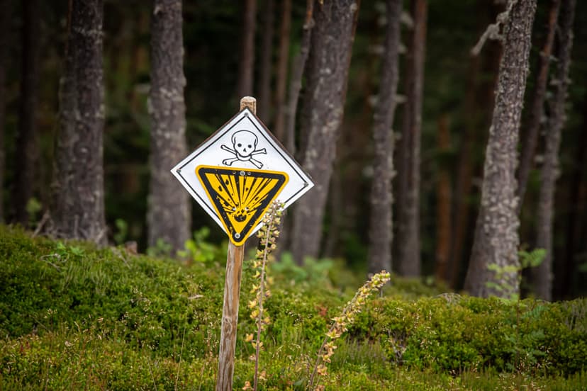 Warning sign with skull and crossbones and explosion symbol in a pine forest