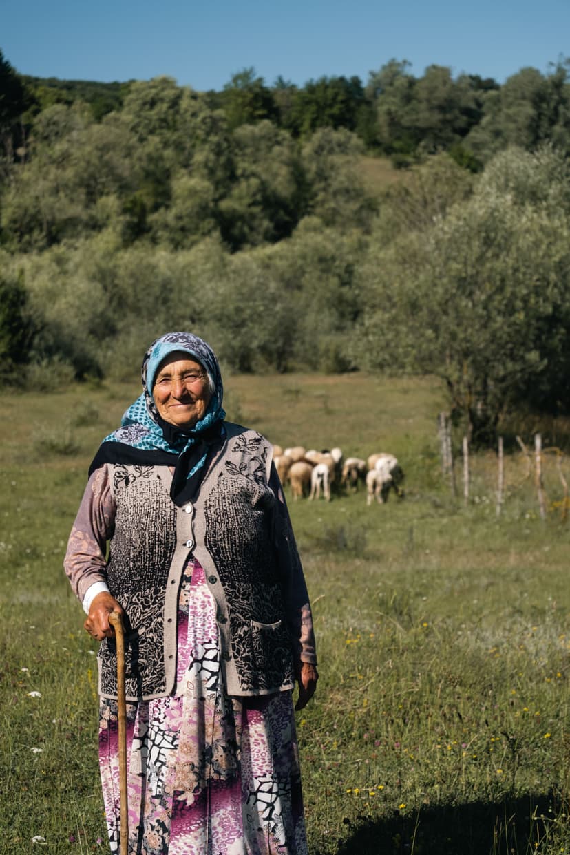 Elderly woman with walking cane standing in grassy field with sheep and trees