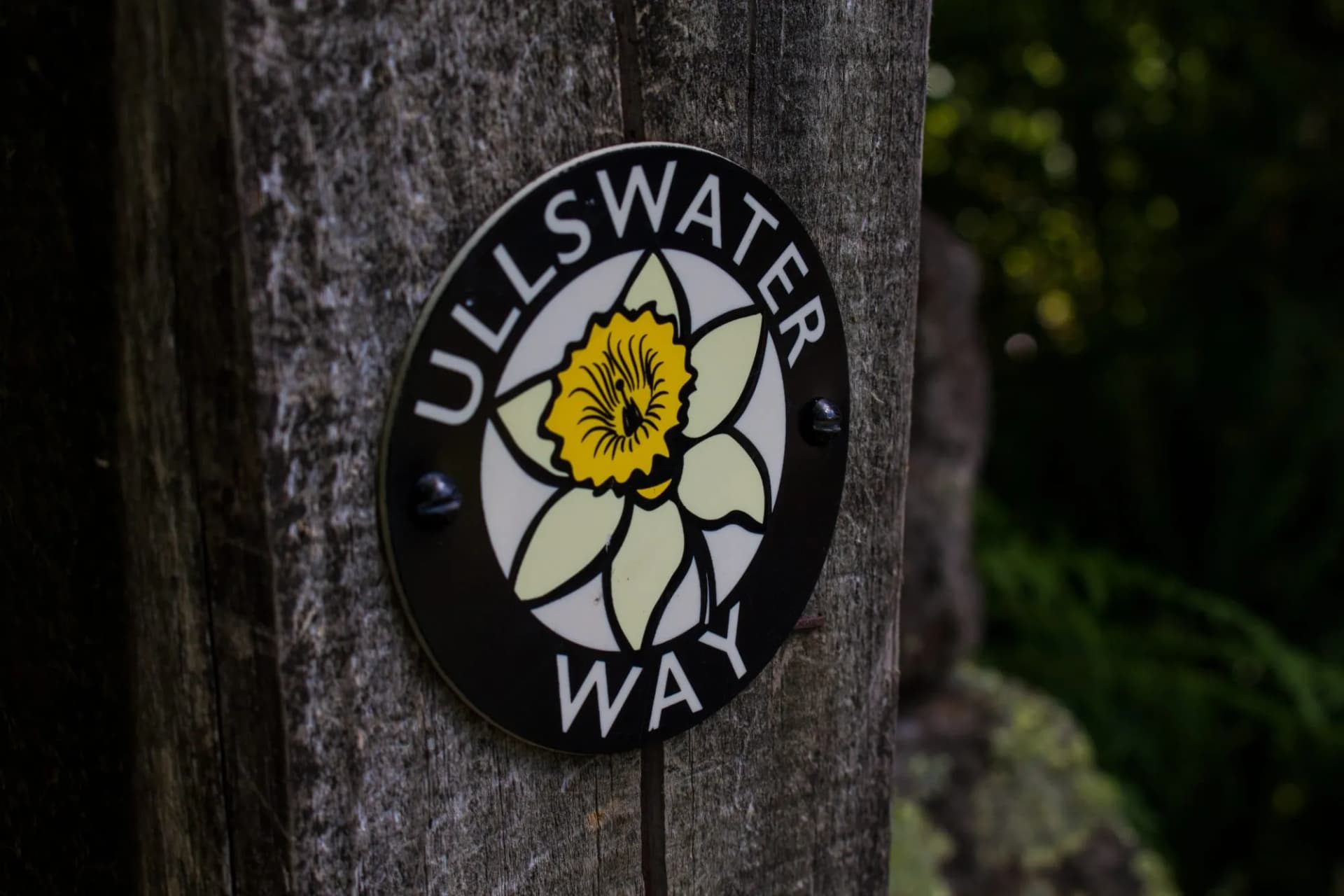 Ullswater Way