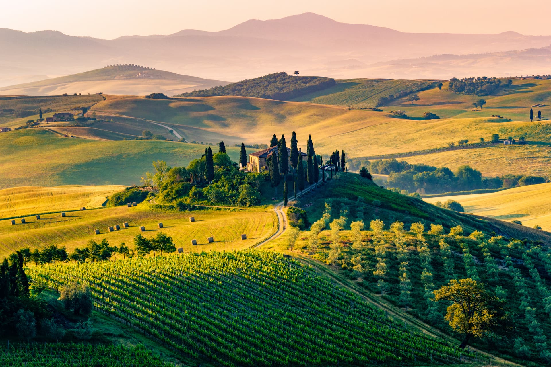 Rolling Tuscan hills with vineyard, cypress trees, and farmhouse at sunrise