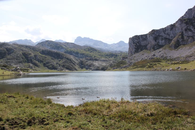 Mountain lake in Cornion Western Massif with rocky peaks and grassy shore