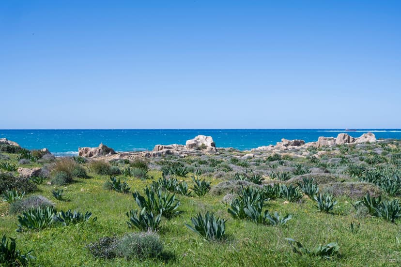 Cape Arnaoutis coast in Akamas, Cyprus with rocky shore and sea view