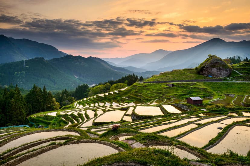 Rice Paddies in Kumano, Japan