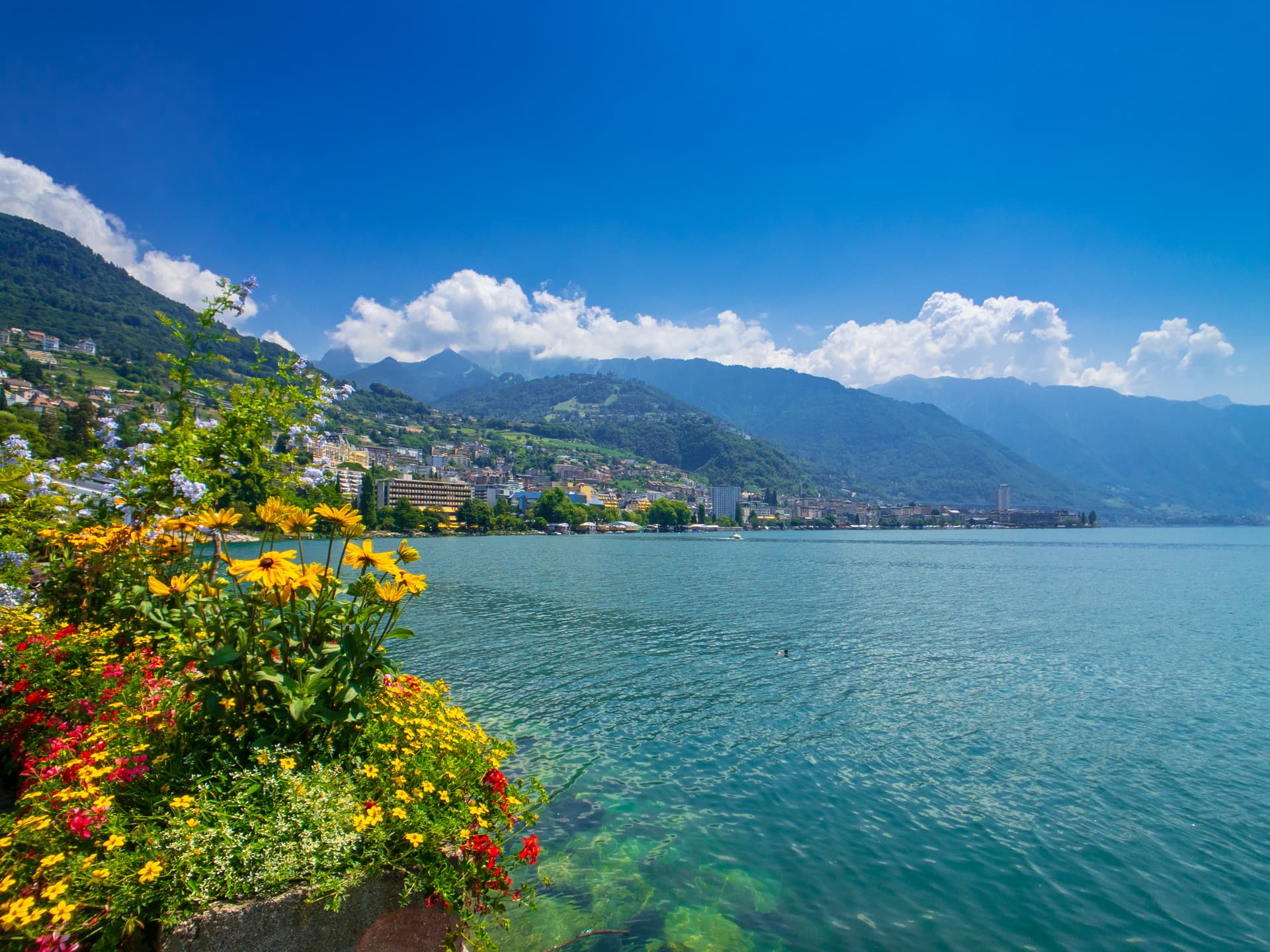 Vibrant flowers frame a view of Montreux on Lake Geneva with green mountains under a blue sky.