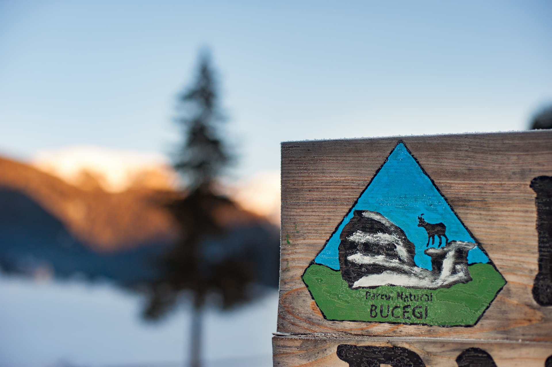 Wooden sign with Bucegi Natural Park emblem in frost, mountains blurred in background.