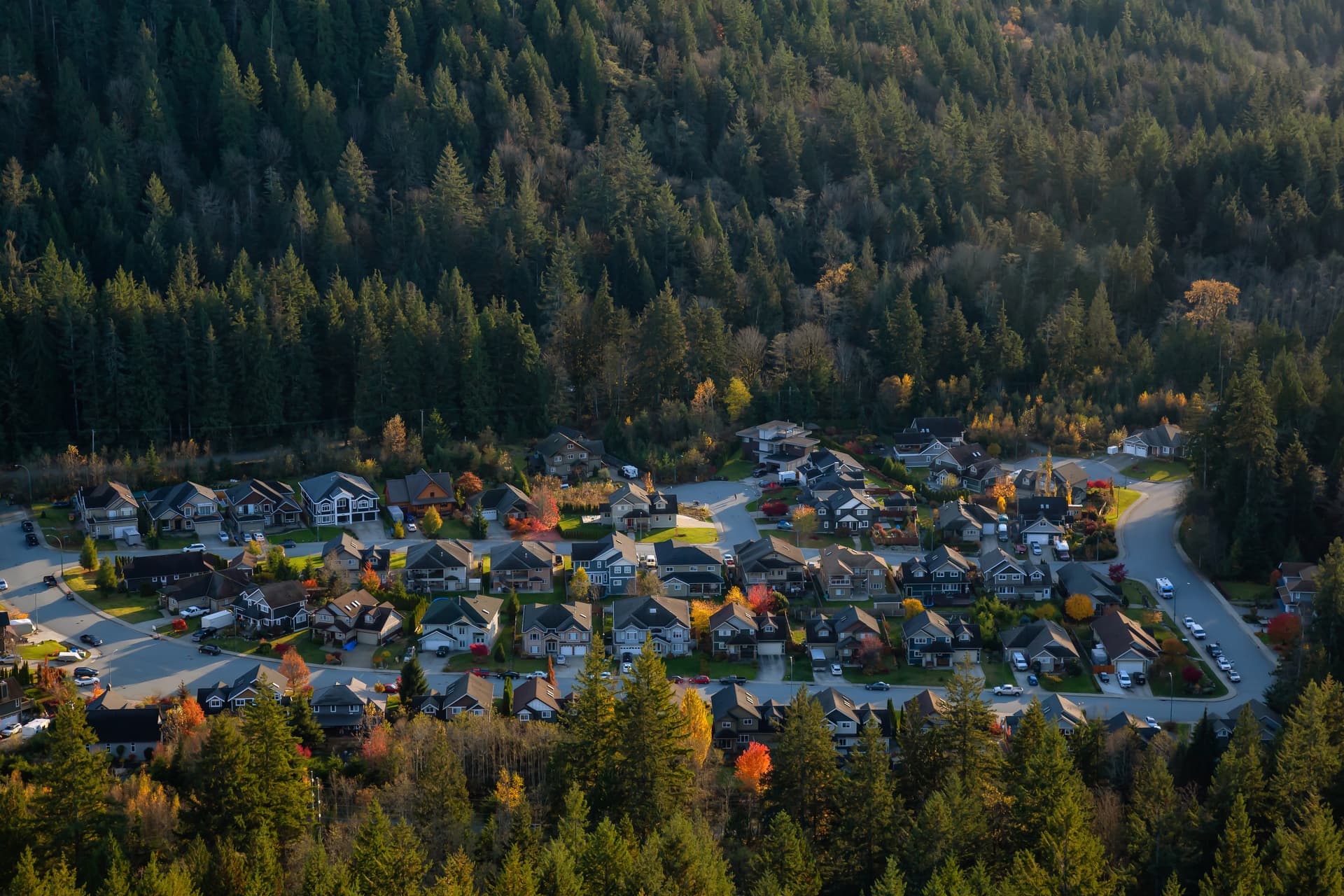 Suburban neighborhood nestled against a dense evergreen forest in Squamish during autumn.