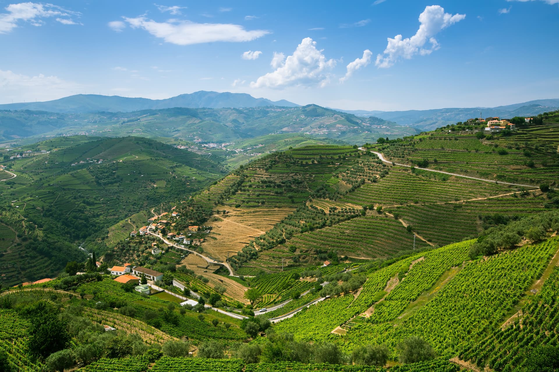 Terraced vineyards on green hillsides with small villages in the Douro Valley, Portugal.