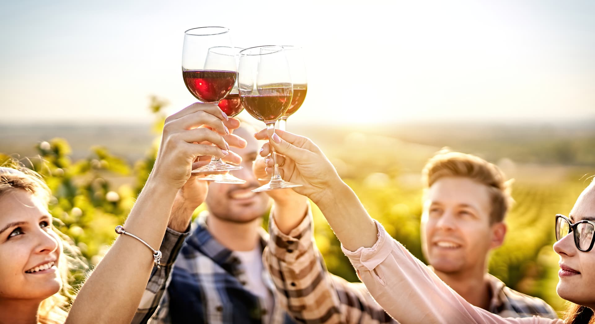 People toasting with red wine glasses outdoors in a sunny vineyard setting.