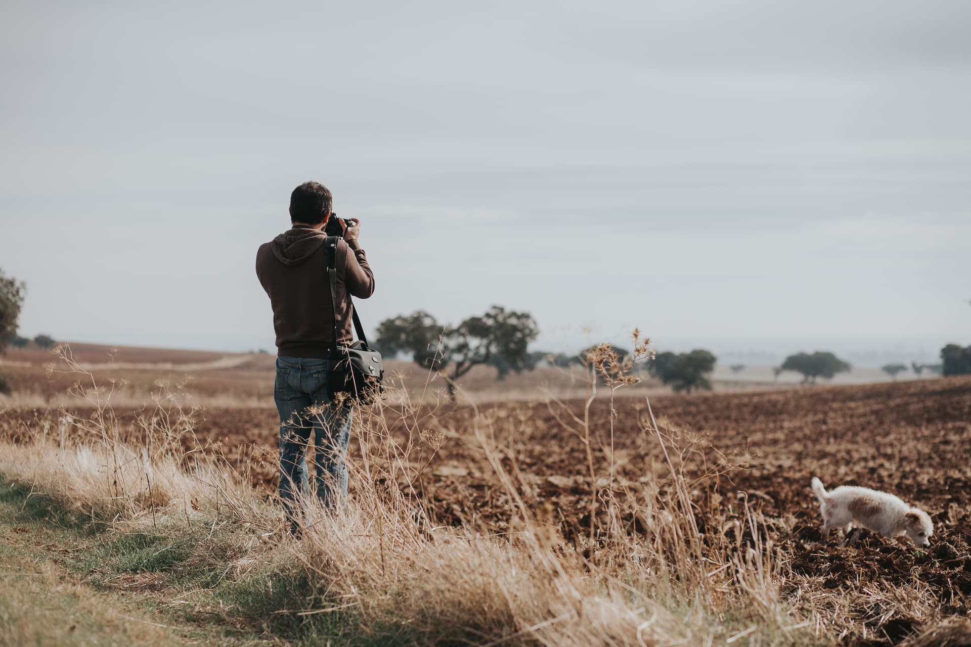 Photographer taking pictures in dry field with small dog, Alentejo landscape