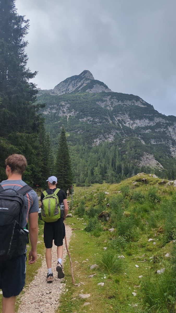 Hikers walking on a mountain trail with pine trees and rocky peaks