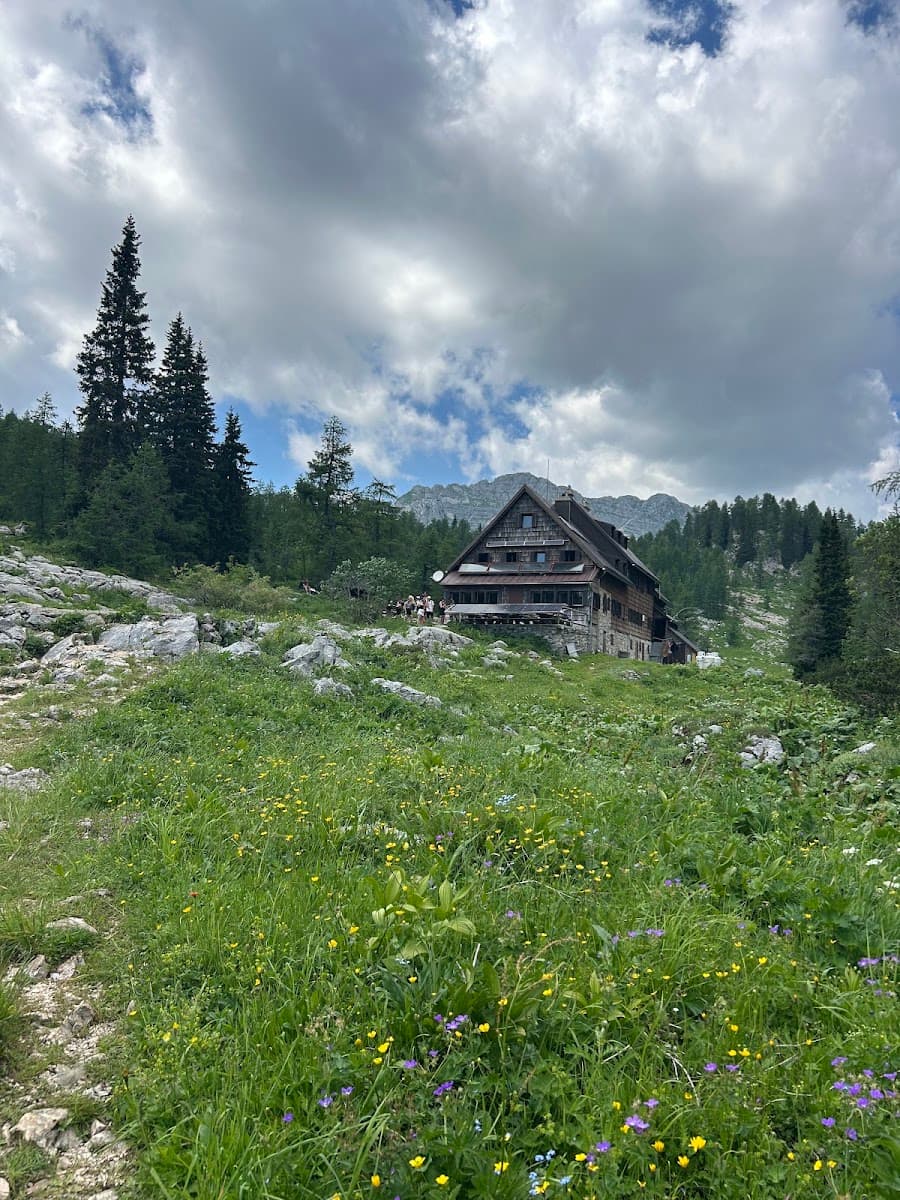 Wooden alpine lodge in mountain meadow with wildflowers and pine trees