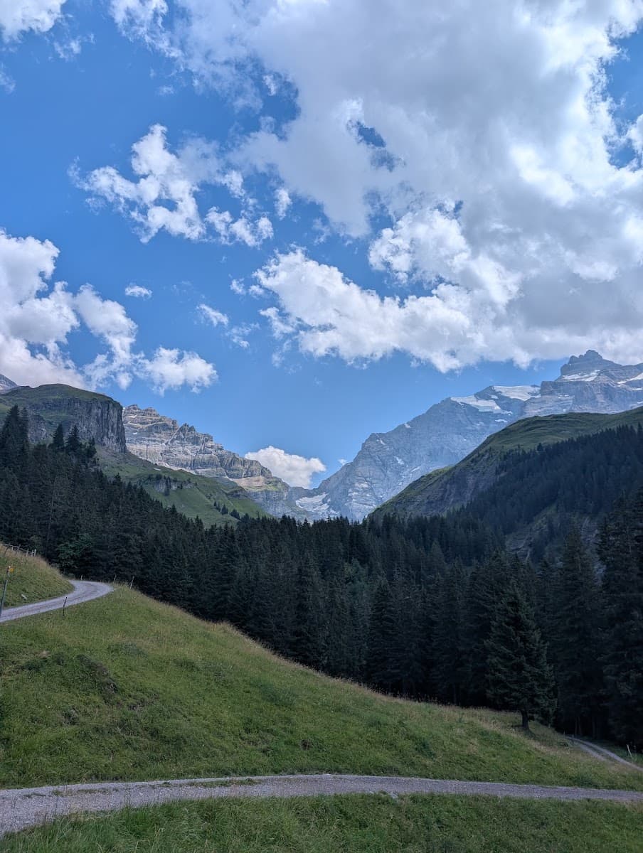 Winding dirt path through alpine valley with pine forest and snow-capped mountains under a cloudy blue sky