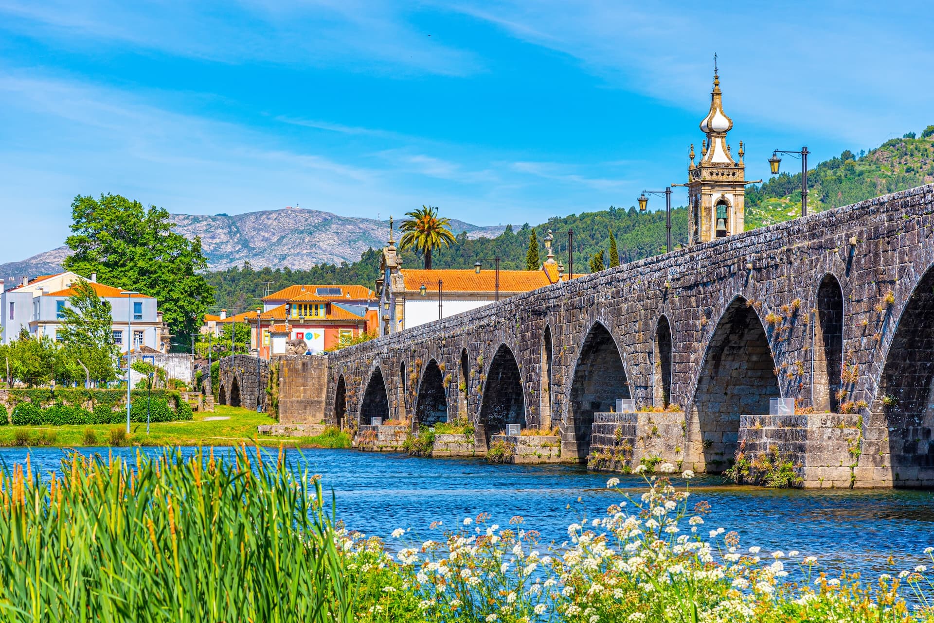 Roman bridge at Ponte de Lima in Portugal over blue river with flowering reeds and mountains.