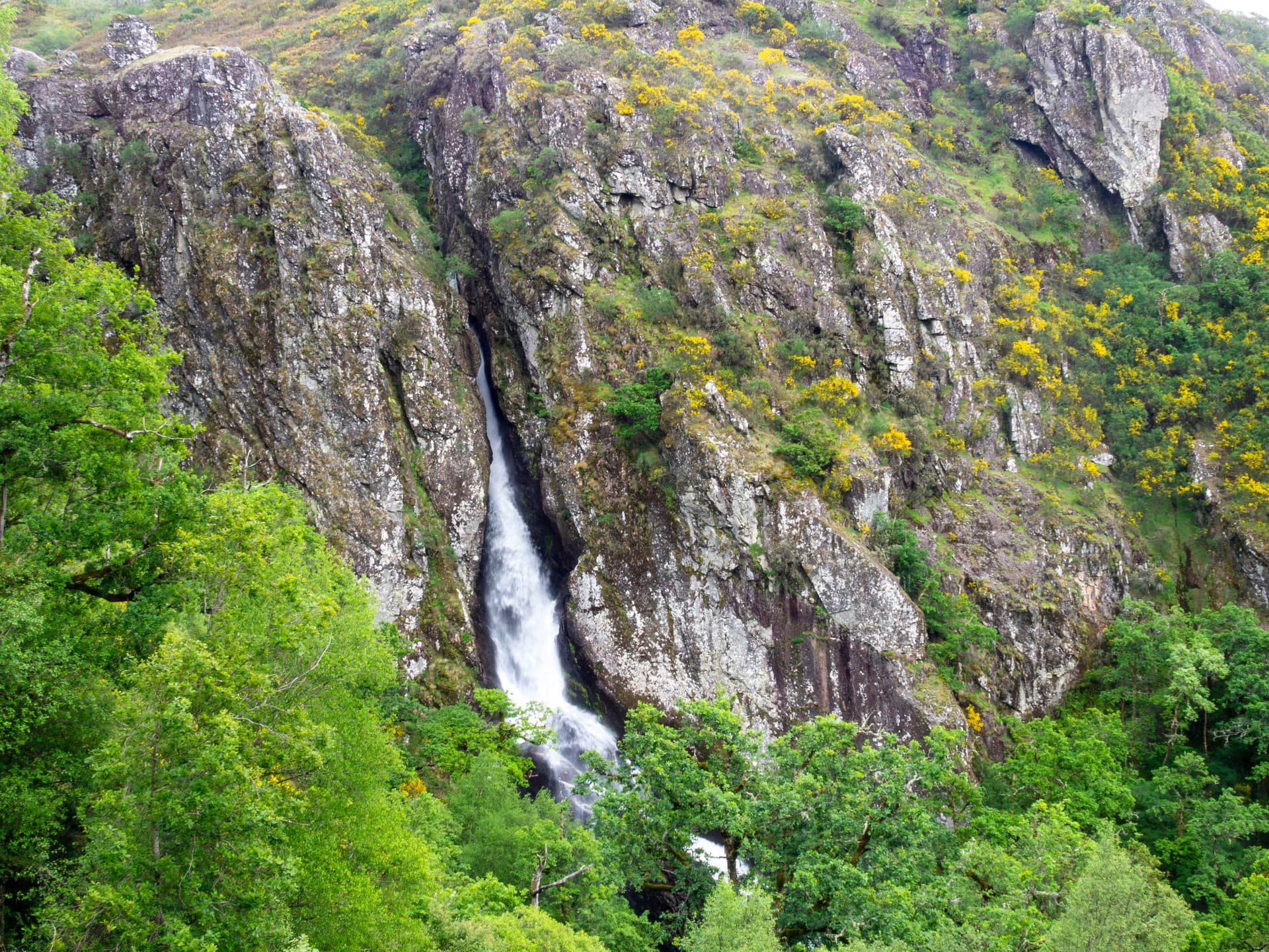 Waterfall cascading down a rocky cliff face surrounded by lush green trees and yellow flowering shrubs in Montalegre, Port...