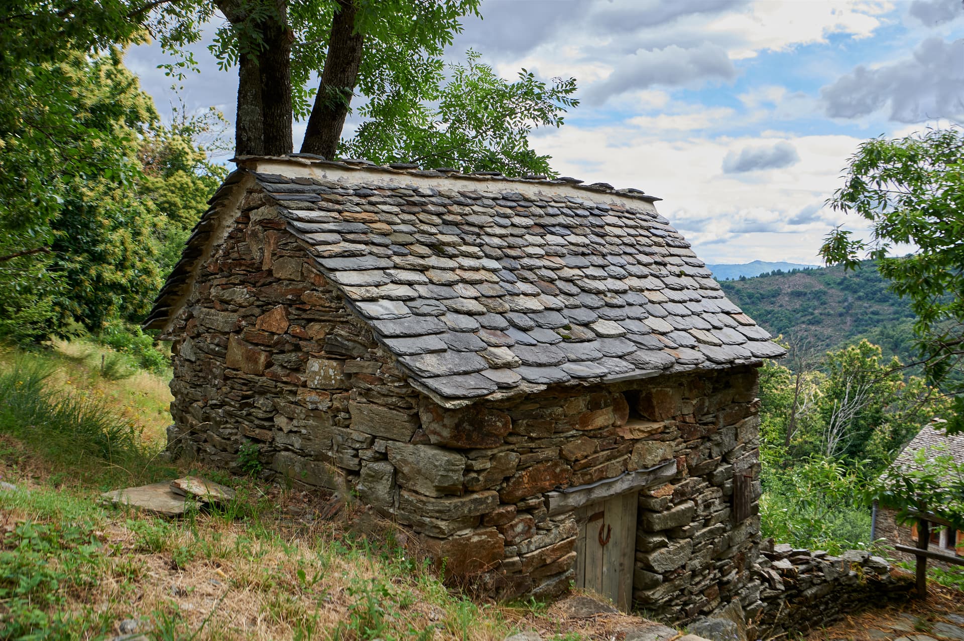 Stone hut with slate roof in lush green mountainside habitat, Cévennes region.