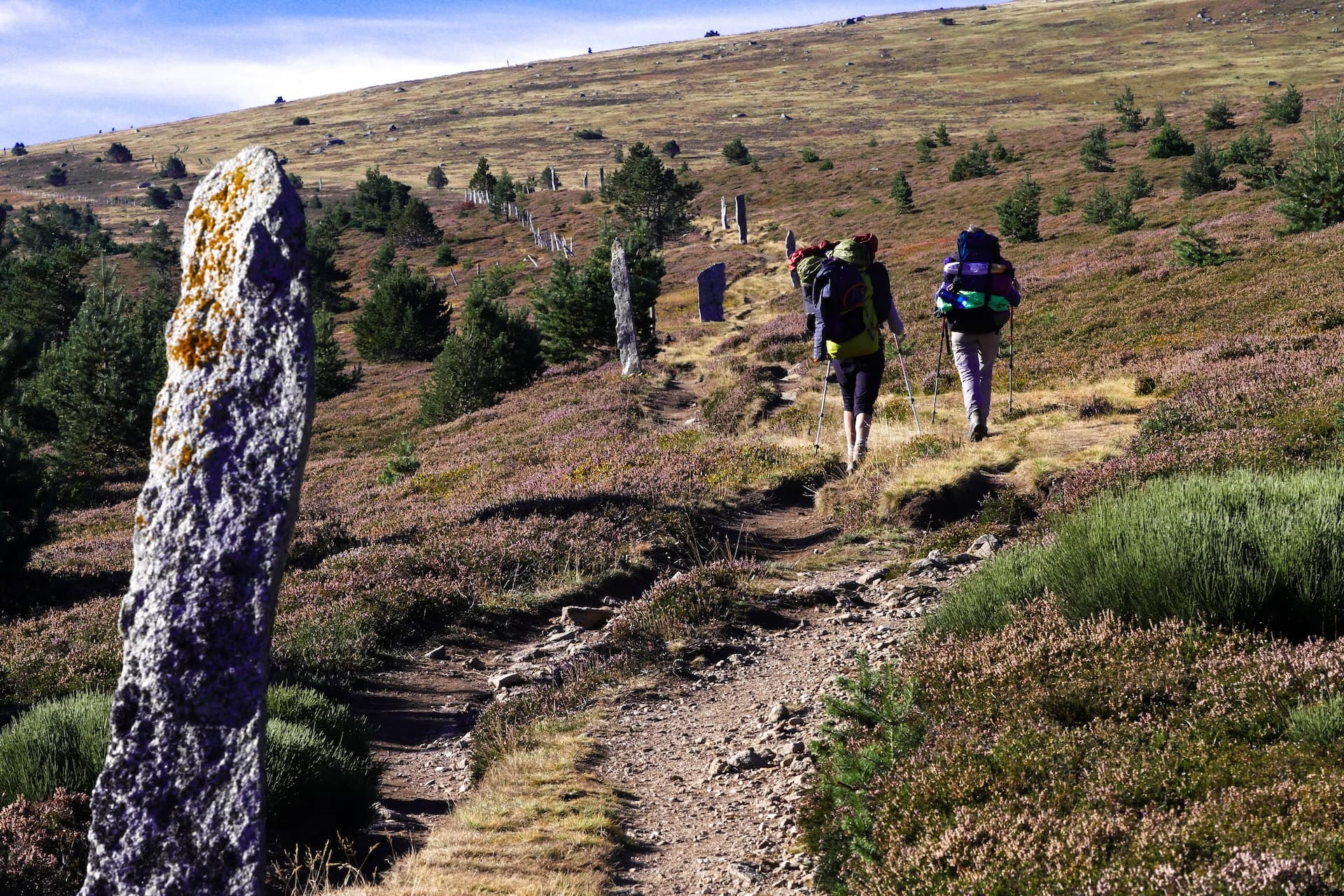 Hikers with backpacks ascend a trail past standing stones on Mont Lozère moorland.