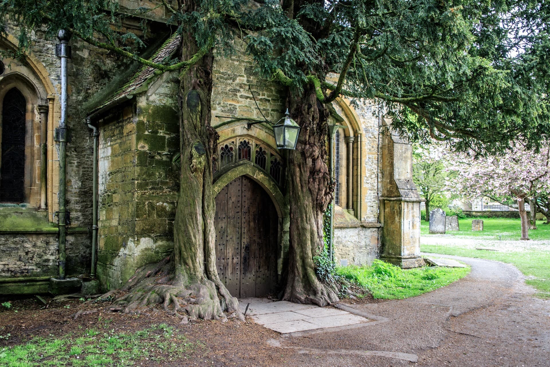 Ancient yew trees frame a mossy stone church door in Stow-on-the-Wold churchyard.