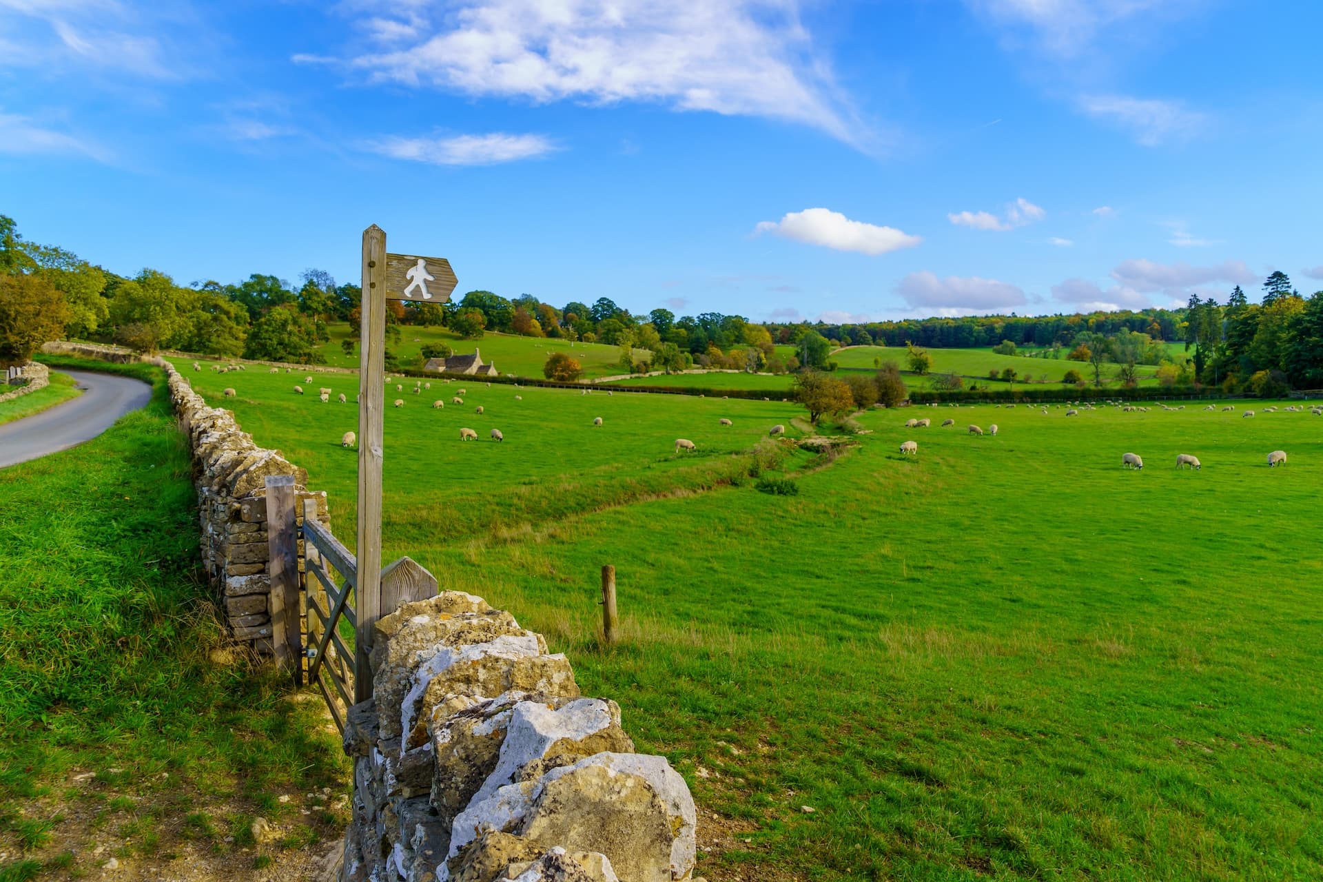 Cotswold Way footpath sign by dry stone wall overlooking sheep grazing in green fields.
