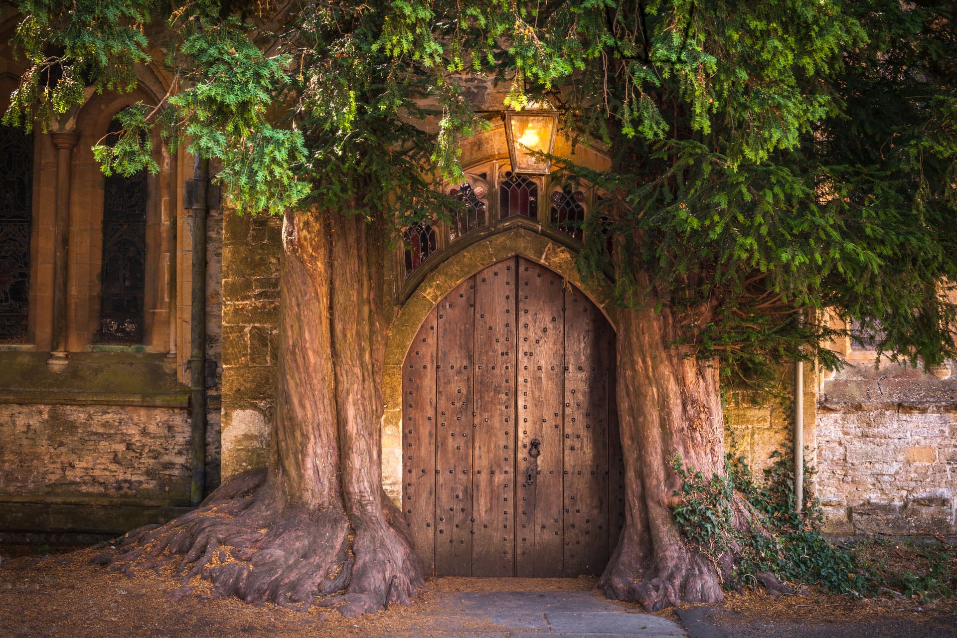 Arched wooden church door framed by large yew tree trunks in Stow-on-the-Wold.