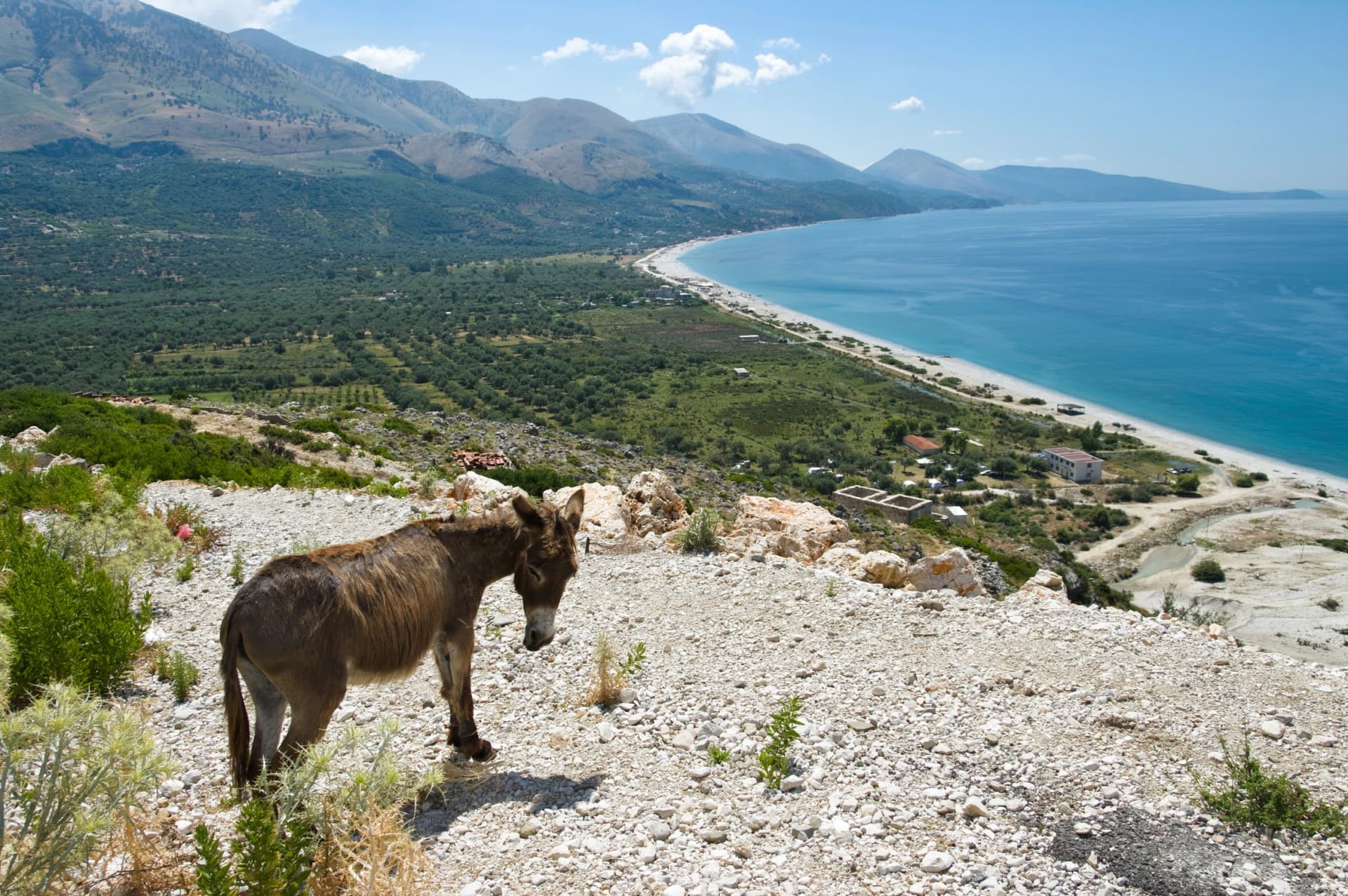 Ionian Coast Of Albania