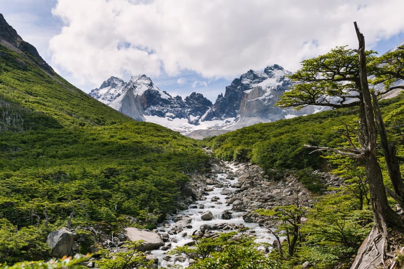 Rocky river flowing through a green valley with snow-capped mountain peaks in the background
