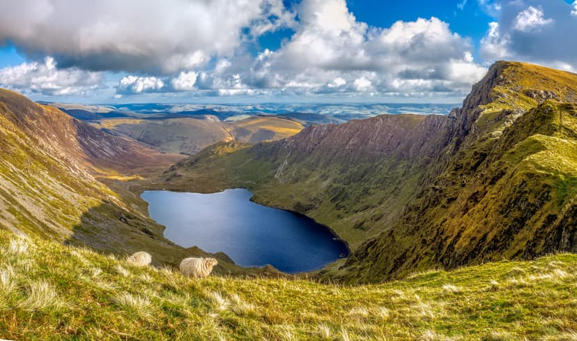 Mountain lake in a valley with sheep grazing on grassy slopes under a cloudy sky