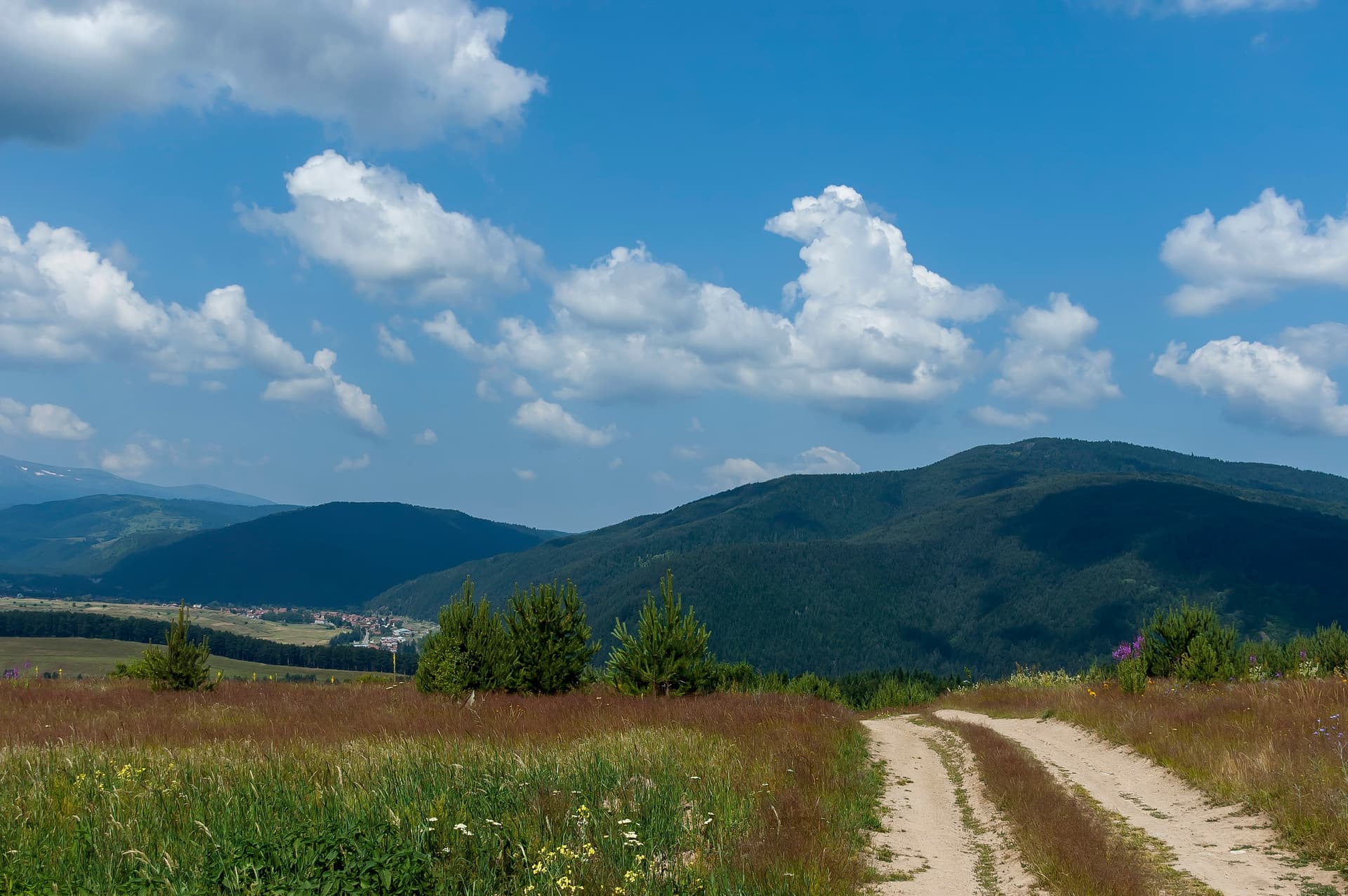 Dirt road winding through grassy meadow toward forested mountains under blue sky with clouds, Govedartsi.
