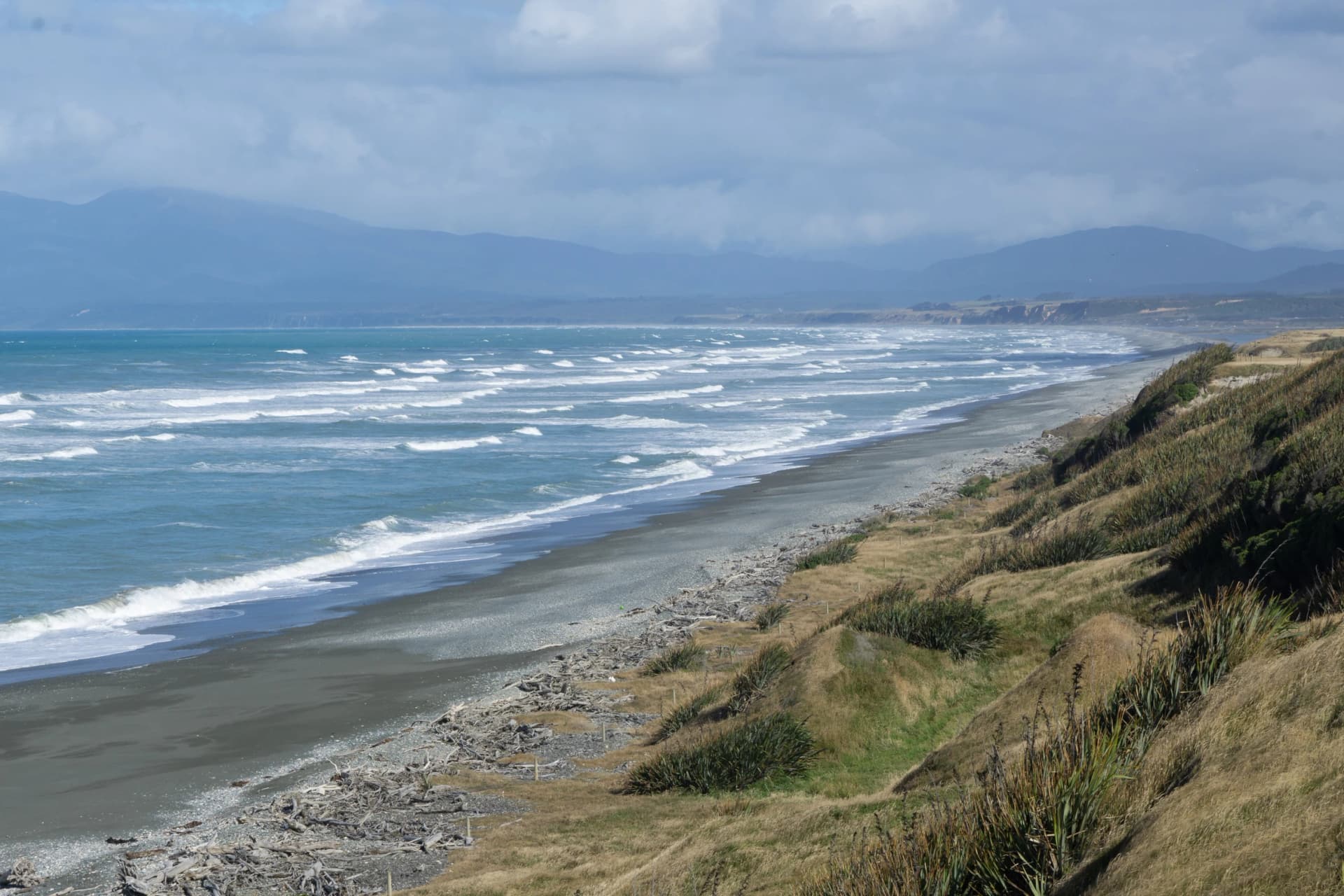 Driftwood on Te Waewae Bay