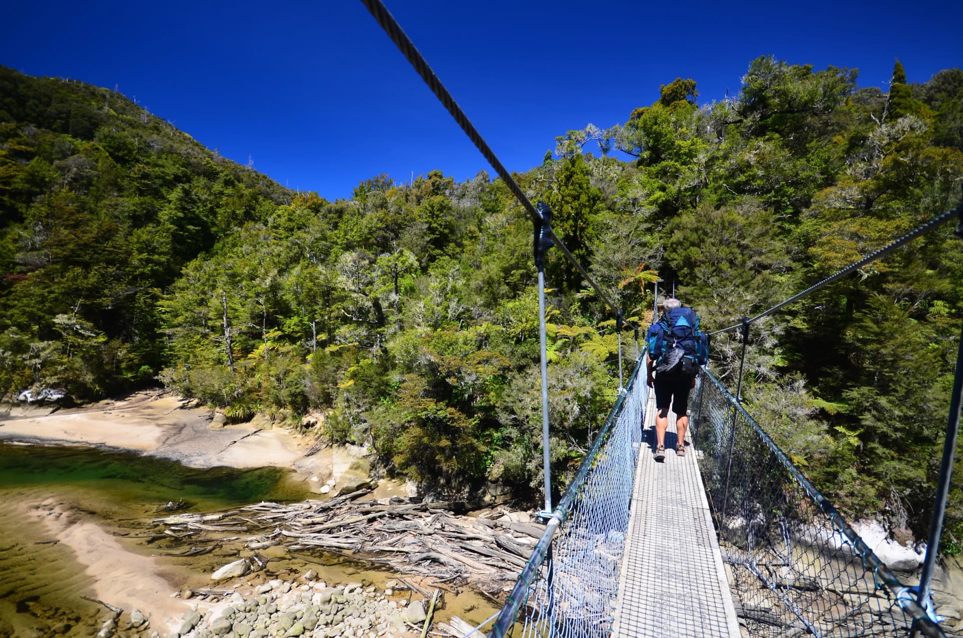 Suspended bridge in Abel Tasman National Park