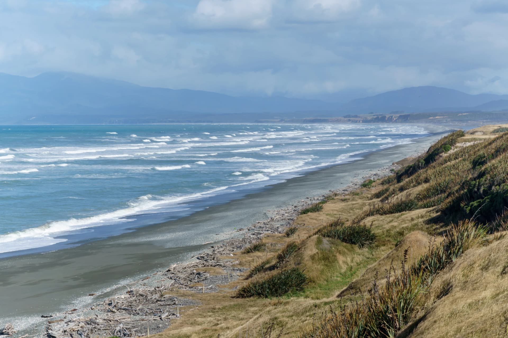 Driftwood washed ashore at Te Waewae Bay, New Zealand