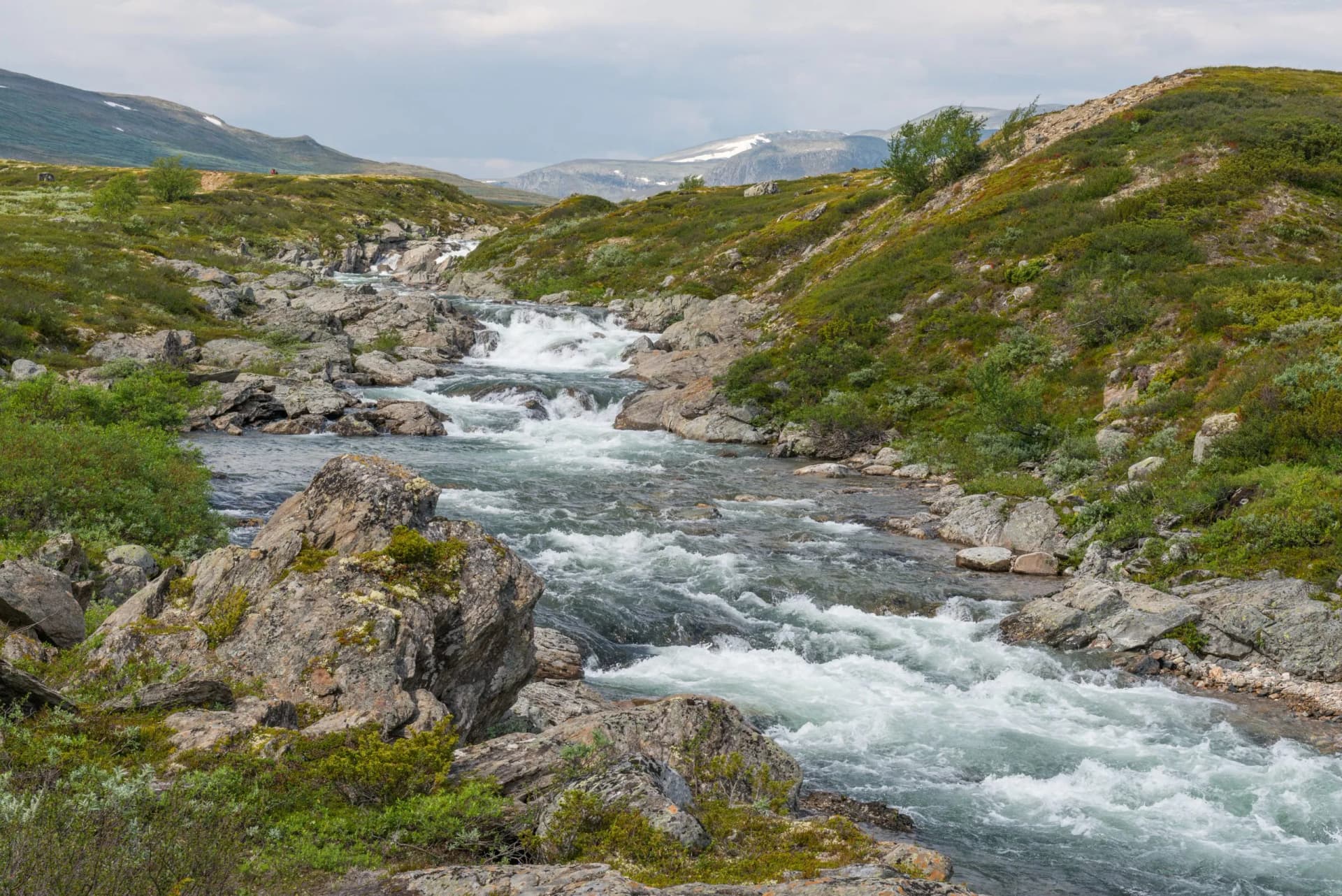 Rondane nationalpark Norwegen 1