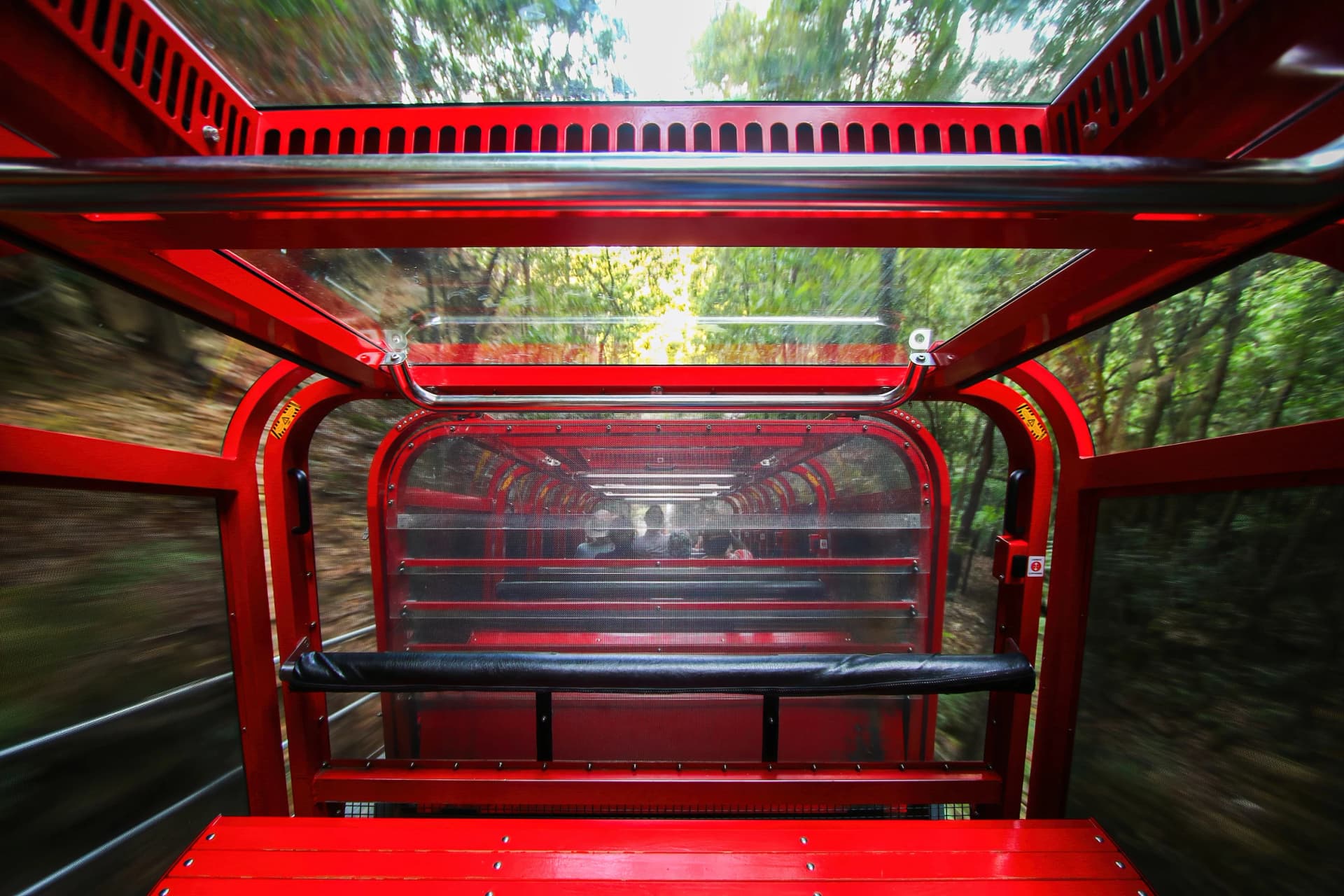 Riding the Scenic Railway down