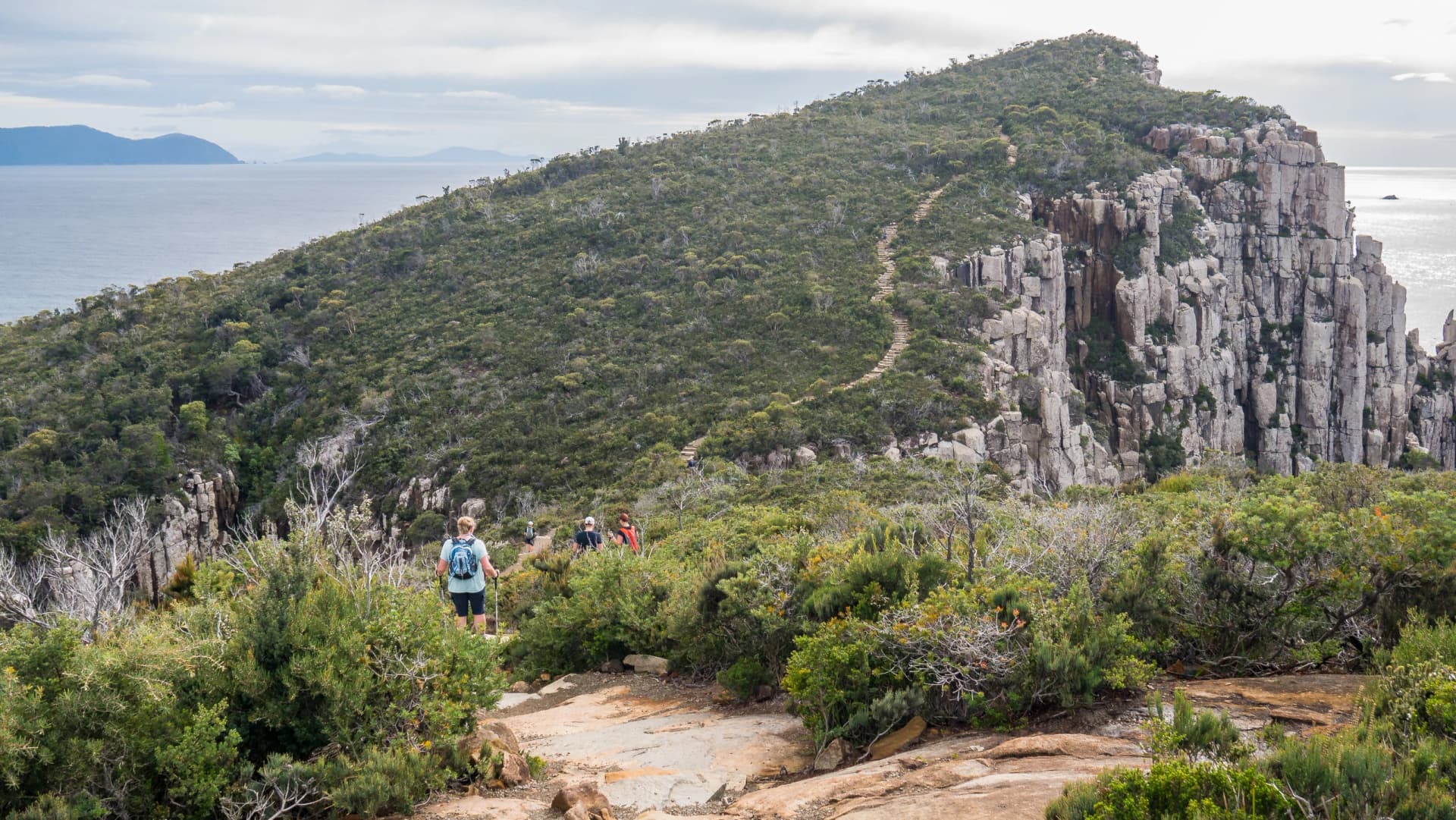 Walker on the Cape Hauy track