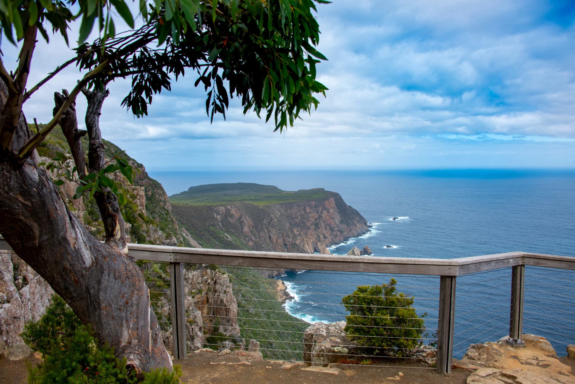 Forest track to Cape Raoul
